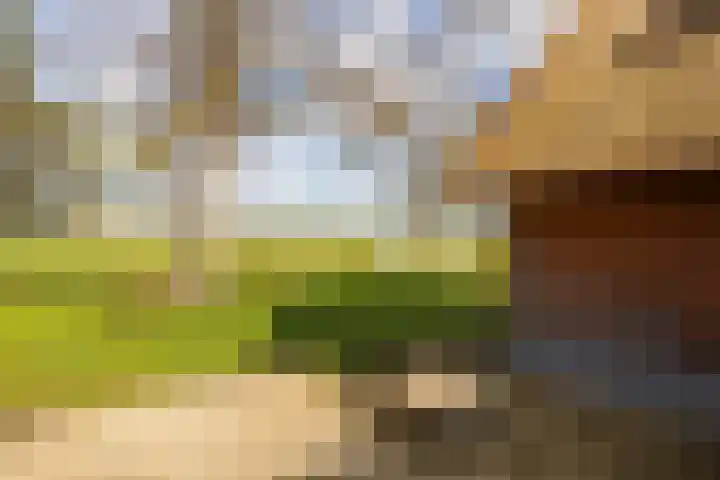 Leemkuilsweg 1 Bathmen thumbnail 64