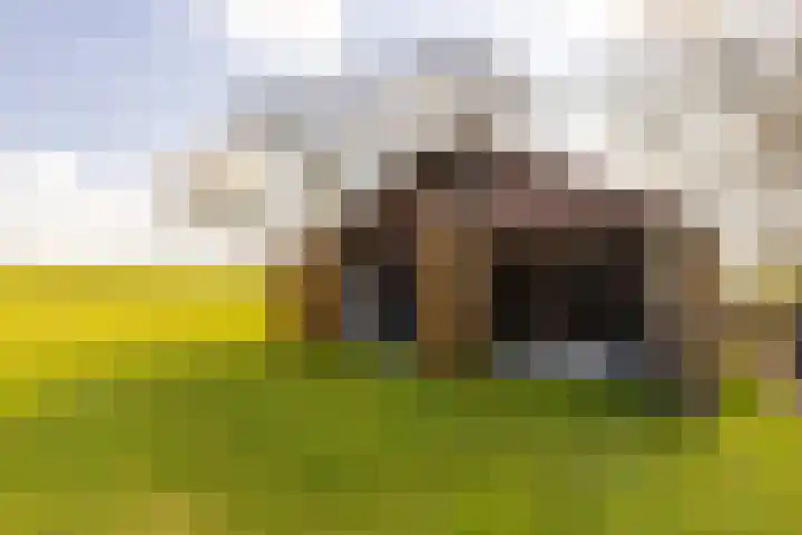 Leemkuilsweg 1 Bathmen thumbnail 65