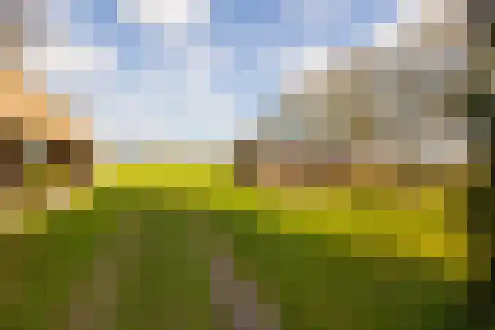 Leemkuilsweg 1 Bathmen thumbnail 67