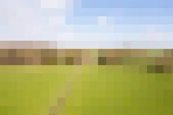 Leemkuilsweg 1 Bathmen thumbnail 68