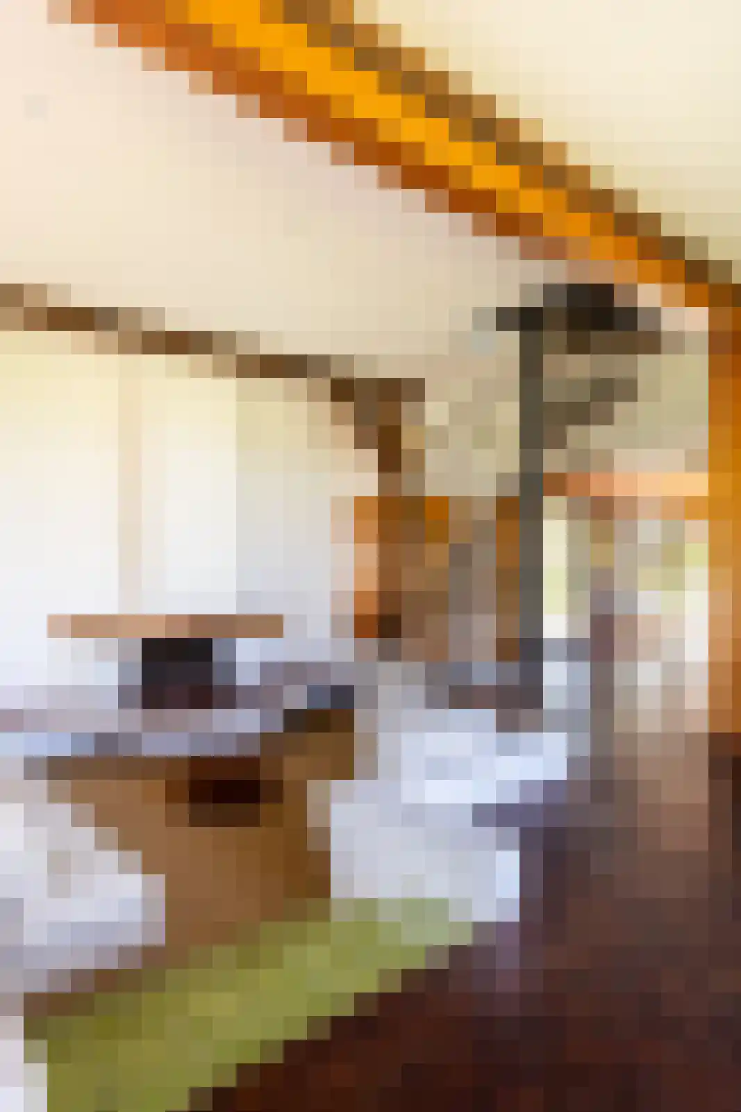 Leemkuilsweg 1 Bathmen thumbnail 7