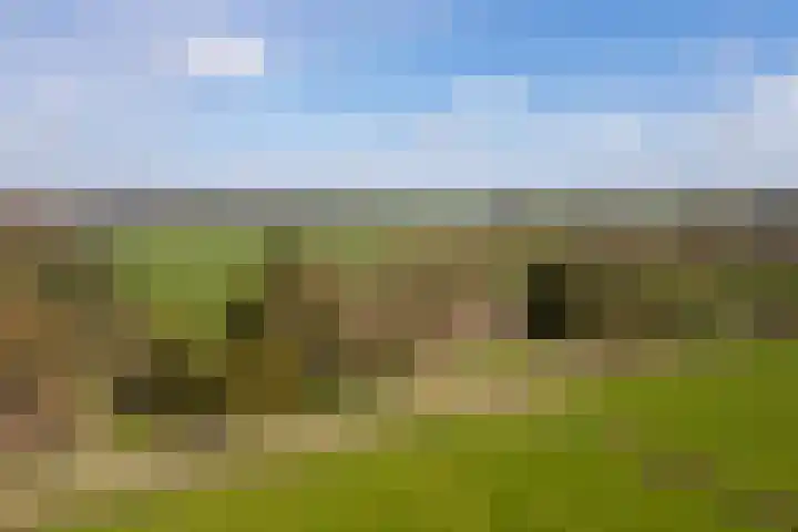 Leemkuilsweg 1 Bathmen thumbnail 70