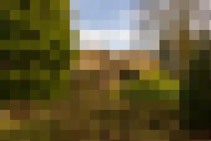 Leemkuilsweg 1 Bathmen thumbnail 71