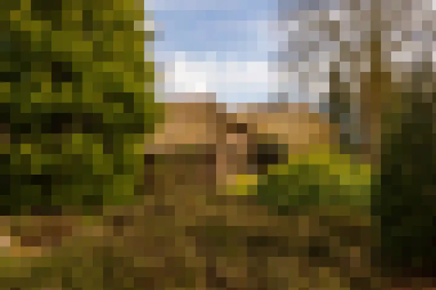 Leemkuilsweg 1 Bathmen thumbnail 71