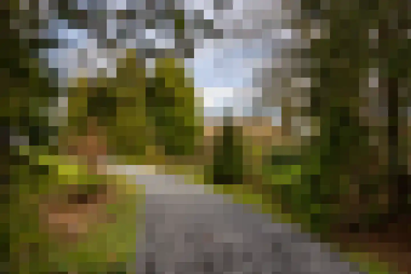 Leemkuilsweg 1 Bathmen thumbnail 73