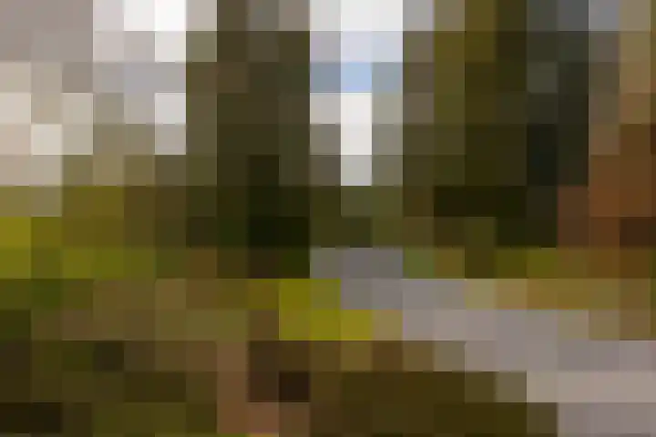 Leemkuilsweg 1 Bathmen thumbnail 74