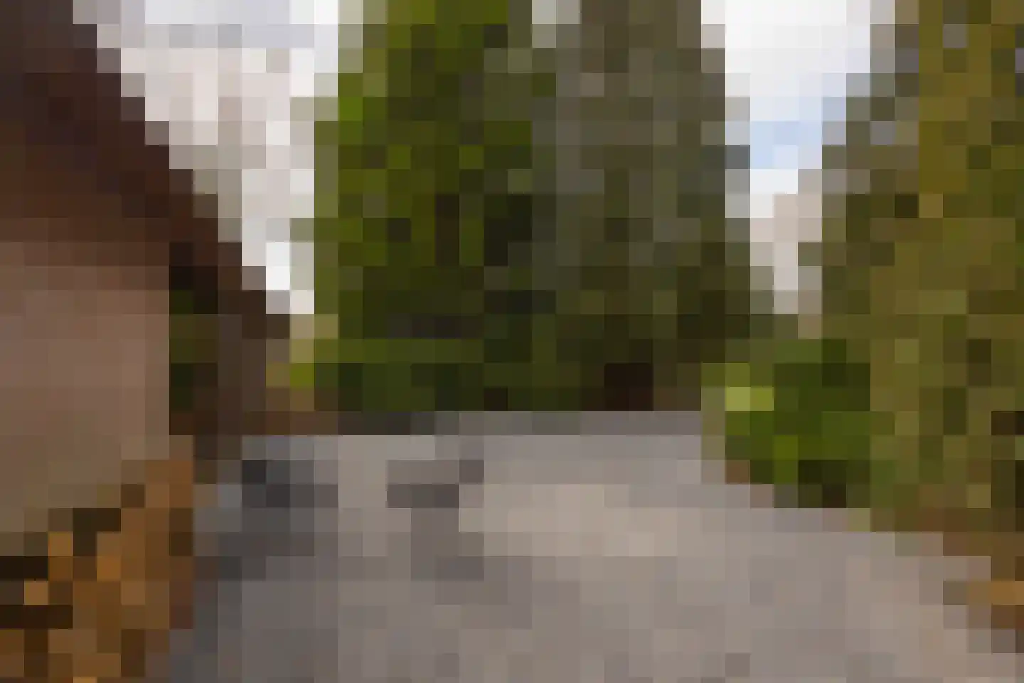 Leemkuilsweg 1 Bathmen thumbnail 75