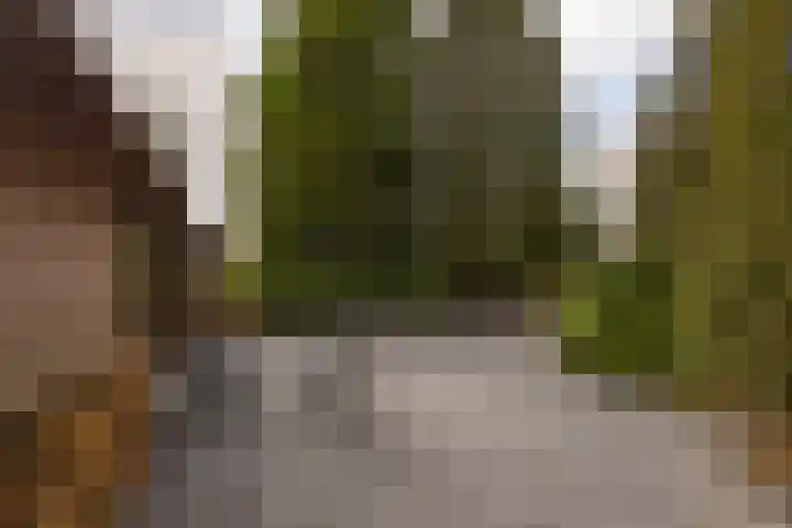 Leemkuilsweg 1 Bathmen thumbnail 75