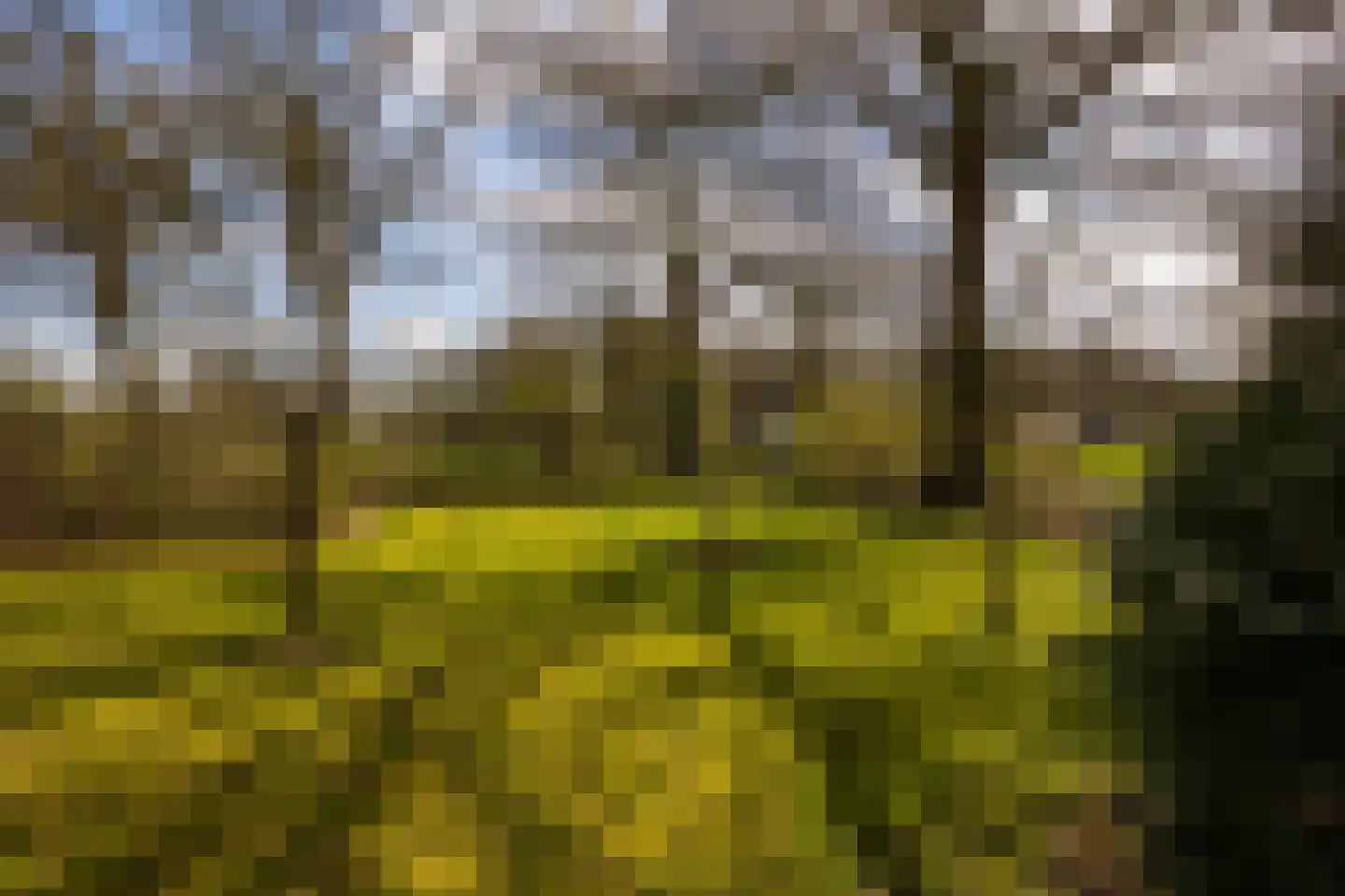 Leemkuilsweg 1 Bathmen thumbnail 76