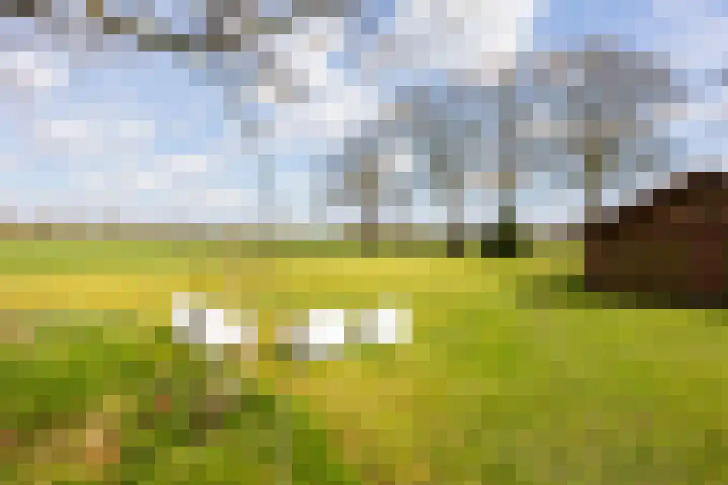 Leemkuilsweg 1 Bathmen thumbnail 79