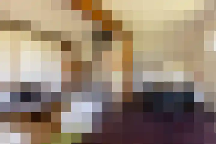 Leemkuilsweg 1 Bathmen thumbnail 8