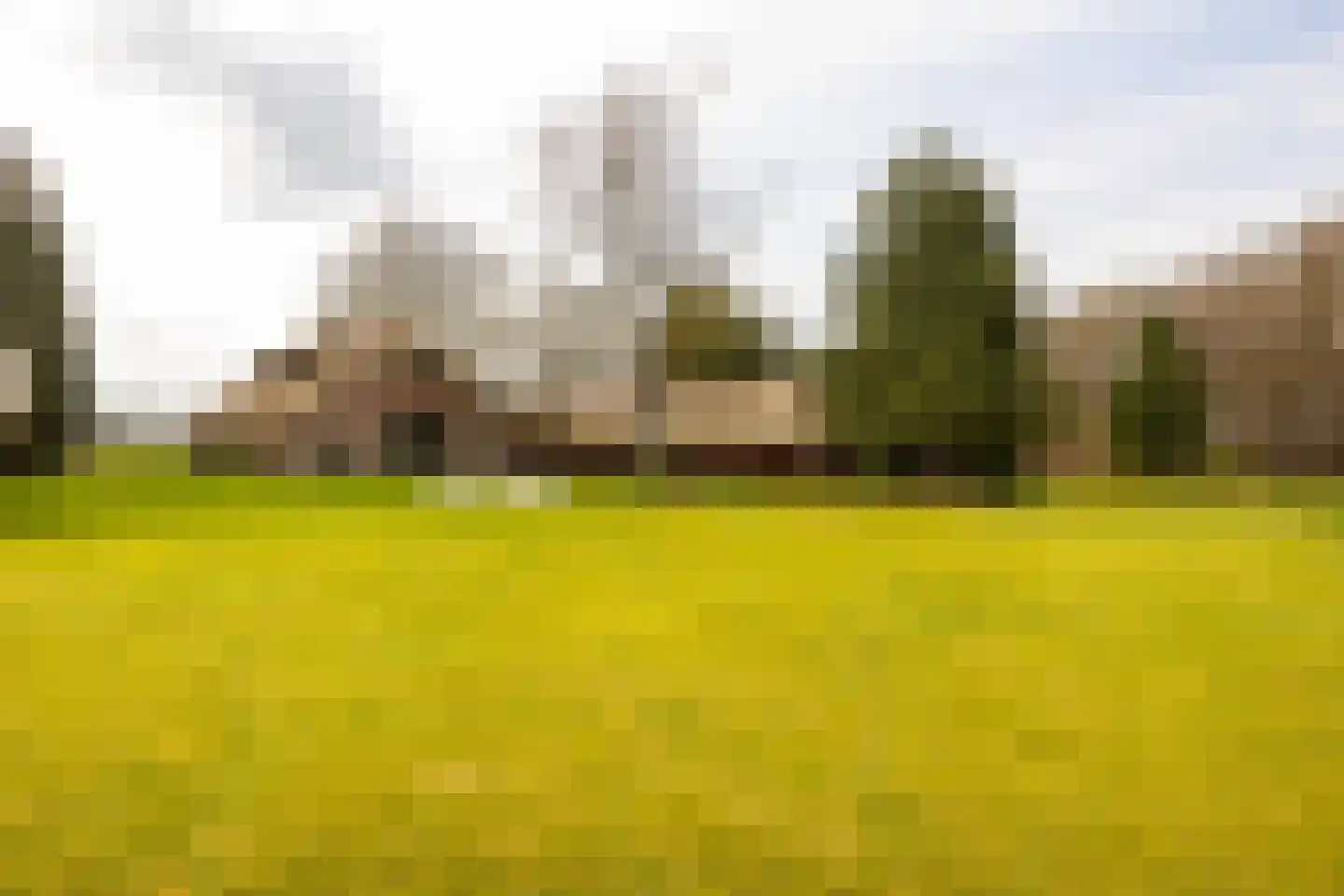 Leemkuilsweg 1 Bathmen thumbnail 80