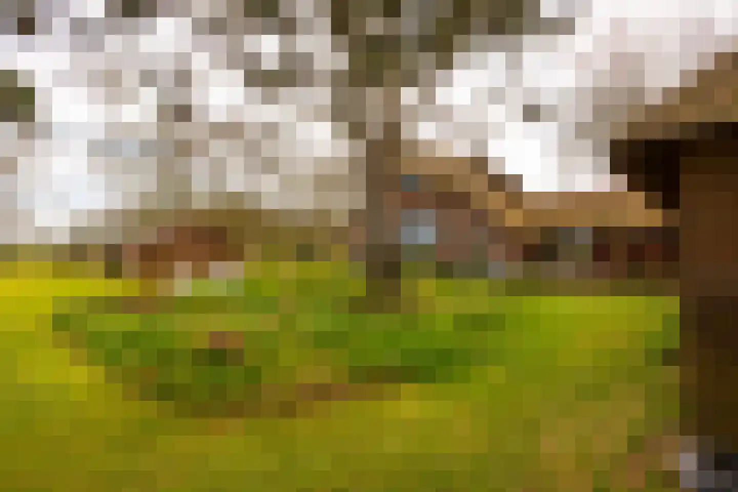 Leemkuilsweg 1 Bathmen thumbnail 81