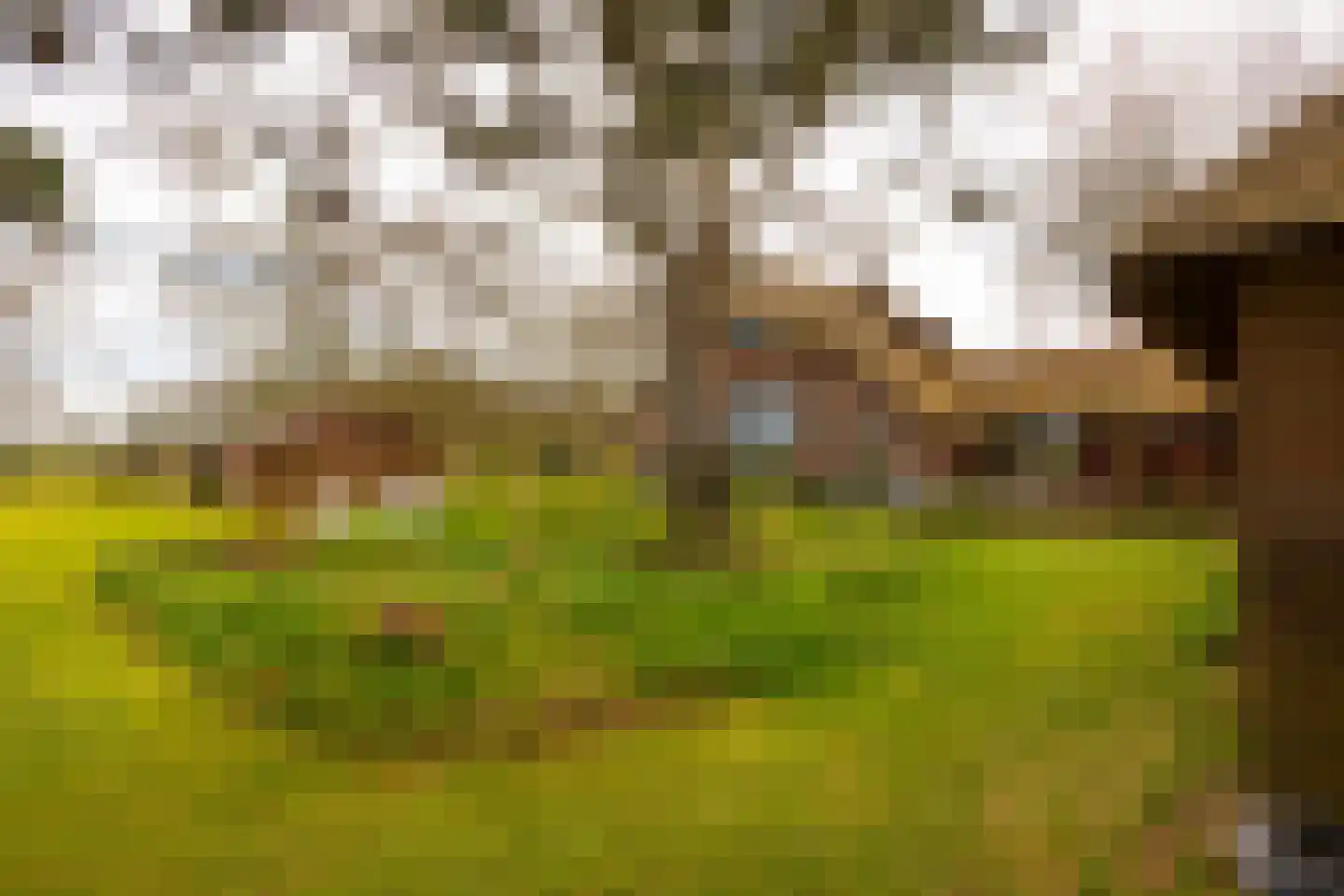 Leemkuilsweg 1 Bathmen thumbnail 81