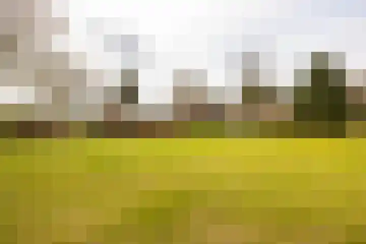 Leemkuilsweg 1 Bathmen thumbnail 82