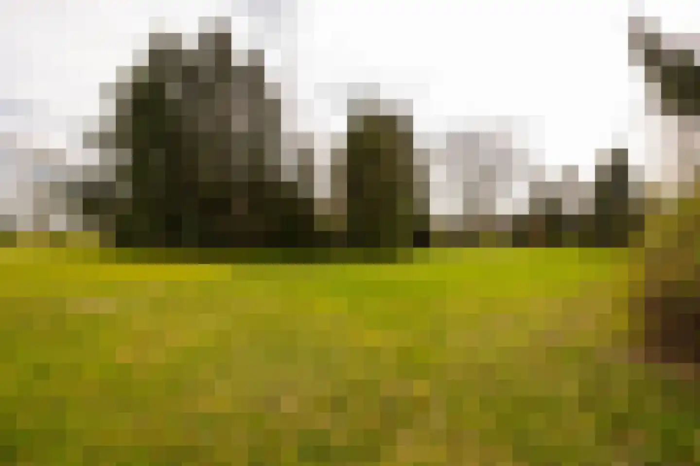 Leemkuilsweg 1 Bathmen thumbnail 83