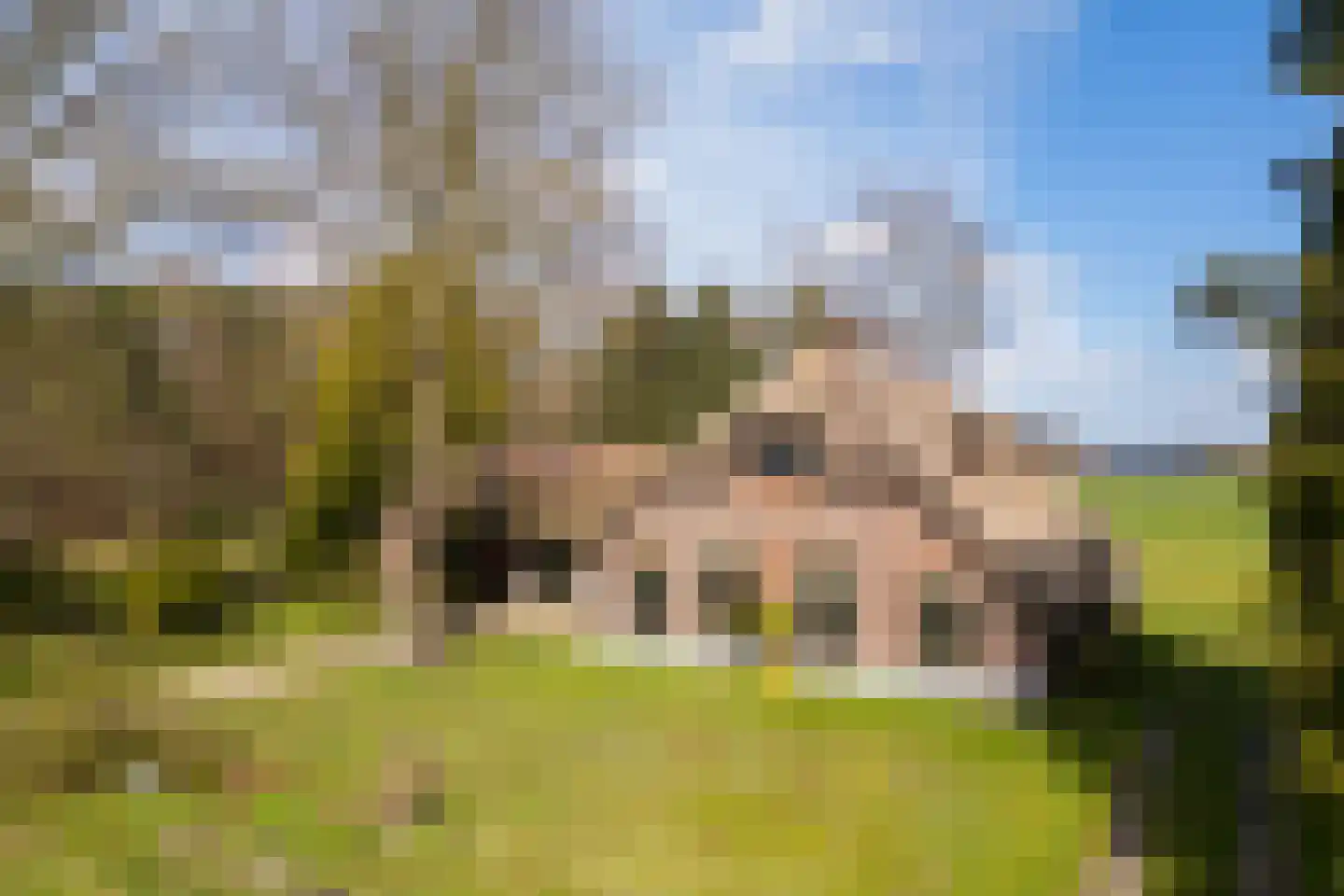Leemkuilsweg 1 Bathmen thumbnail 85