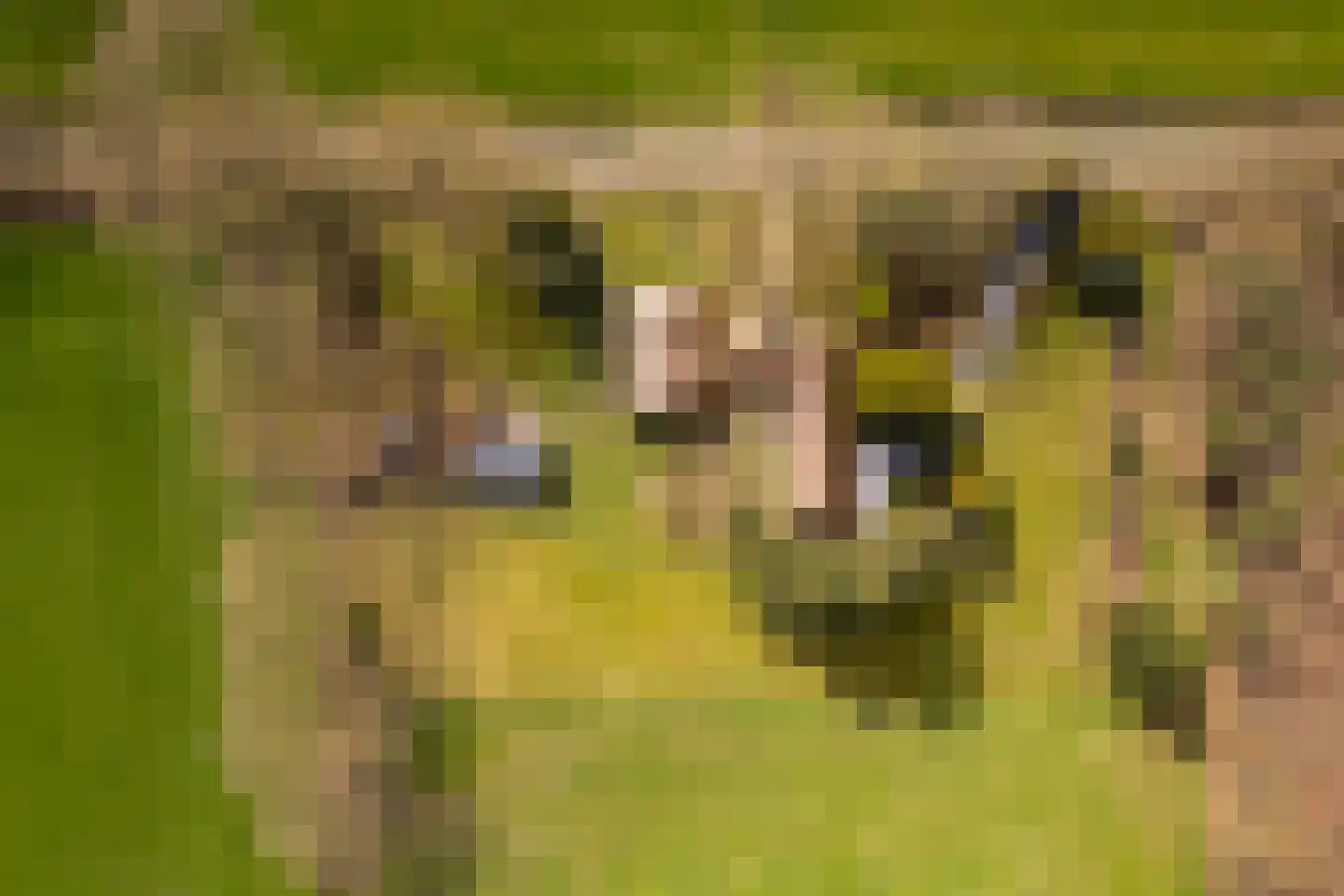 Leemkuilsweg 1 Bathmen thumbnail 86