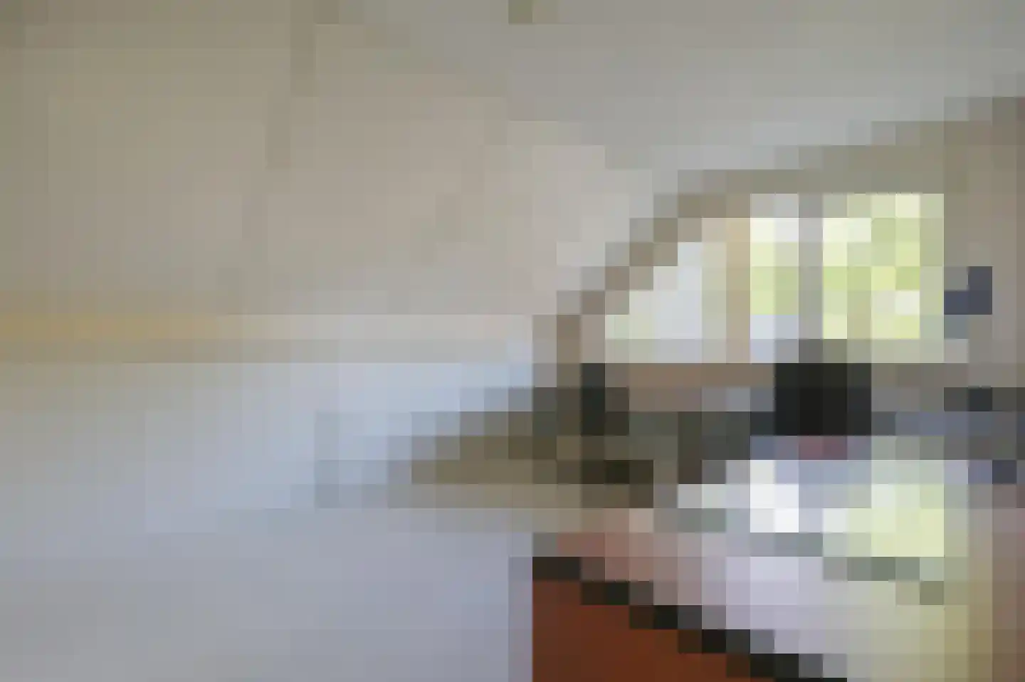 Leemkuul 14 Putten thumbnail 25