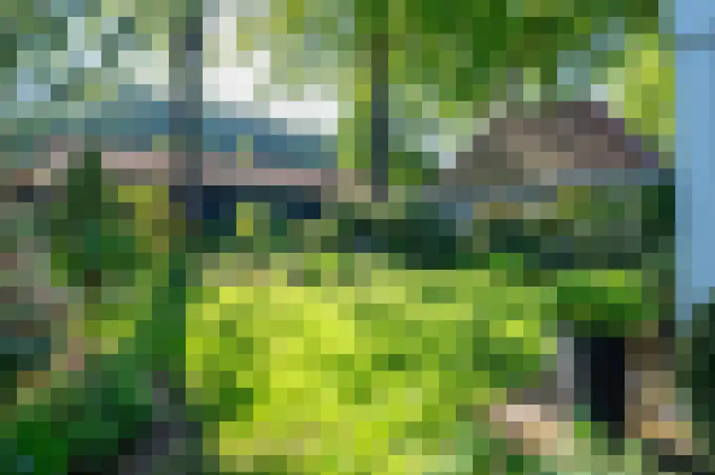 Leemkuul 14 Putten thumbnail 32