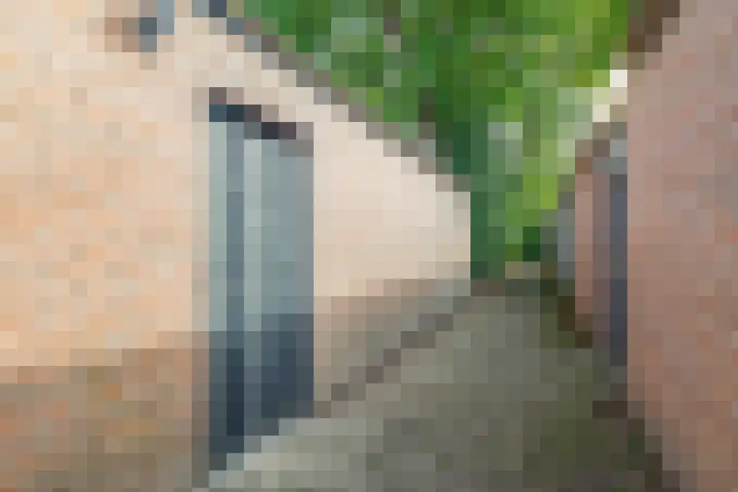 Leemkuylen 1 Geldrop thumbnail 48