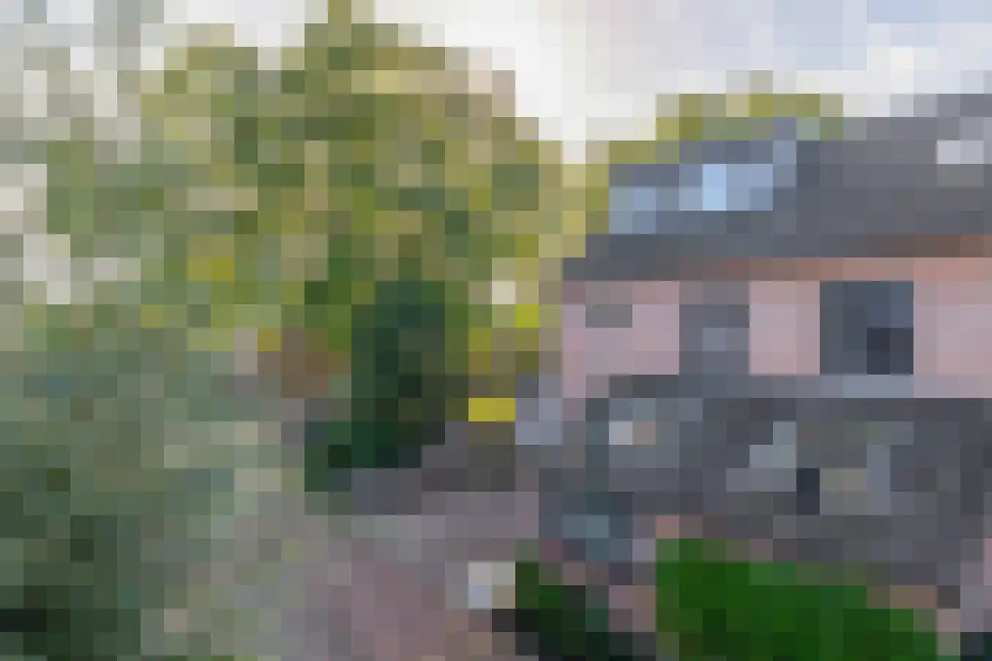 Leemkuylen 1 Geldrop thumbnail 54