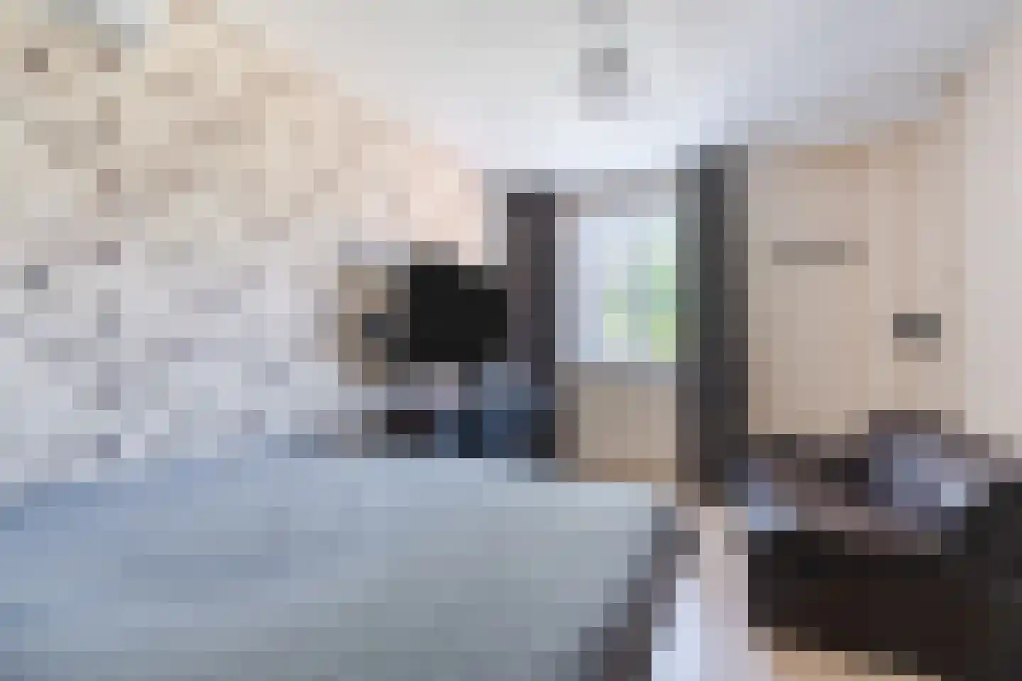 Leemkuylen 100 Geldrop thumbnail 25