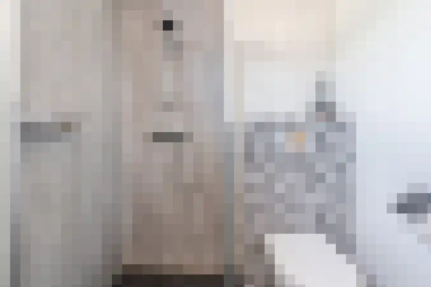 Leemkuylen 100 Geldrop thumbnail 29
