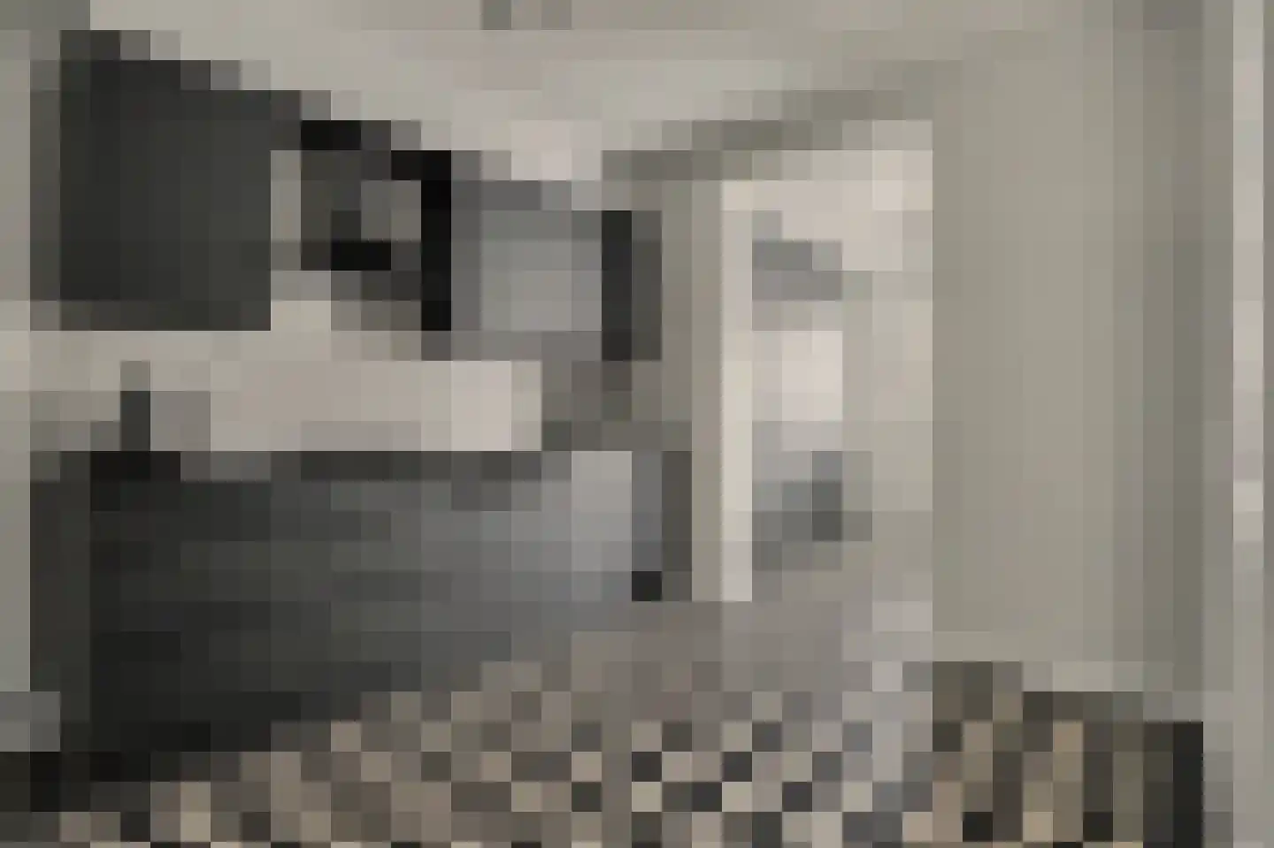 Leemkuylen 123 Geldrop thumbnail 13