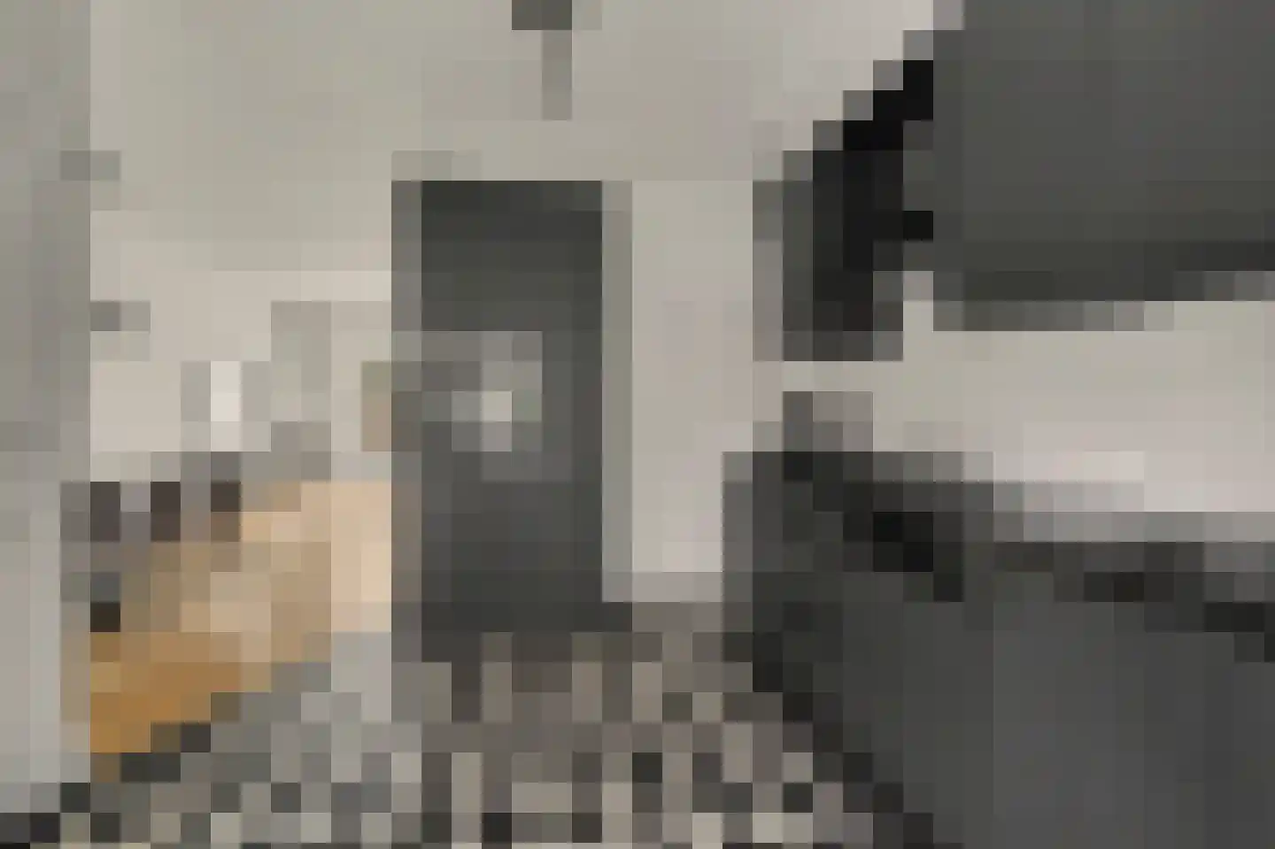 Leemkuylen 123 Geldrop thumbnail 15