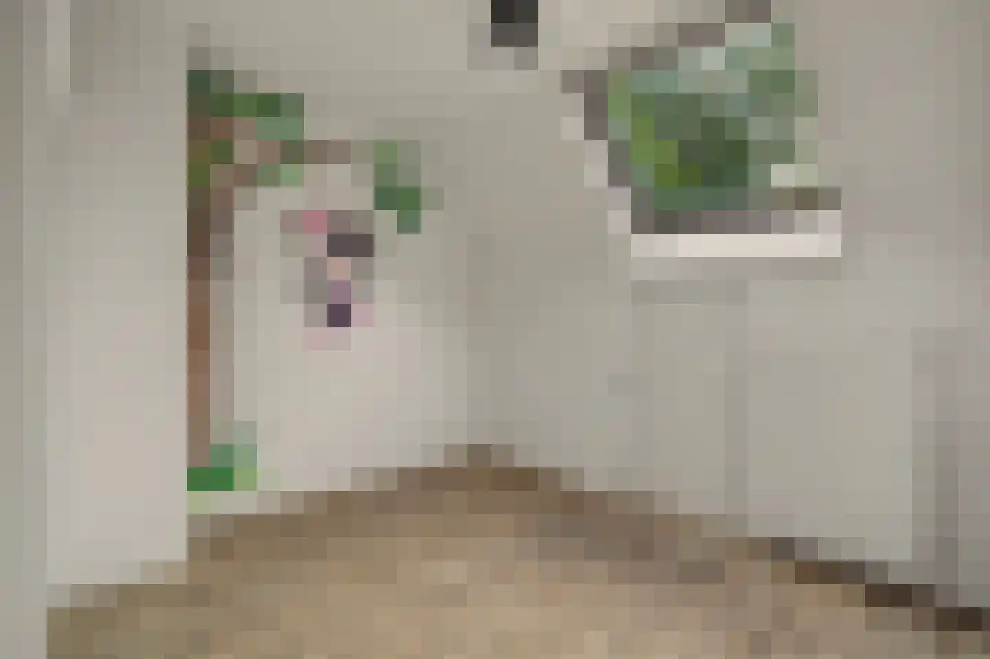 Leemkuylen 123 Geldrop thumbnail 24