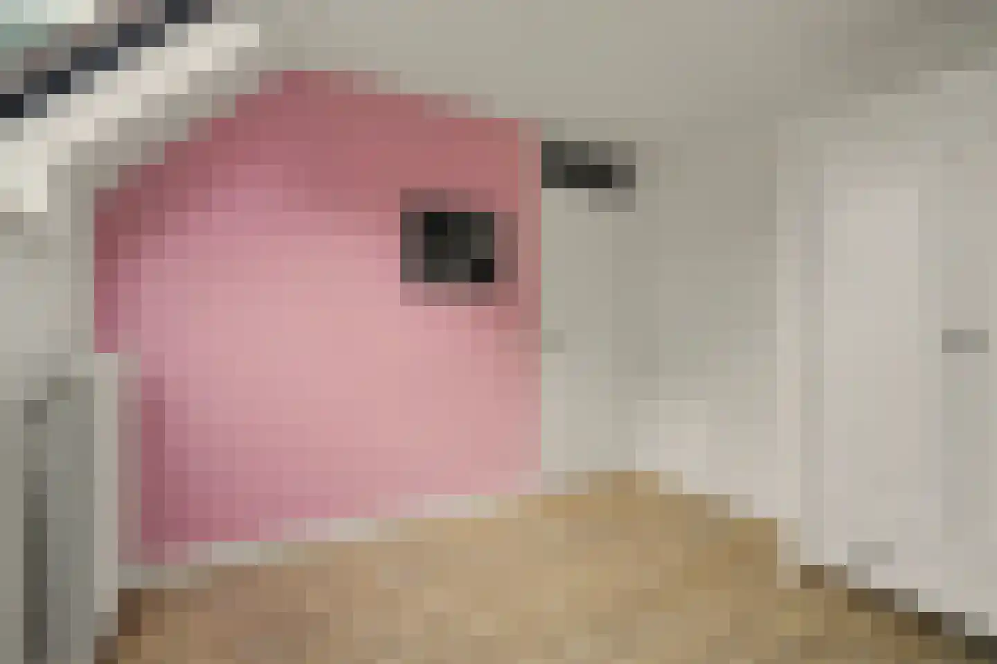 Leemkuylen 123 Geldrop thumbnail 25