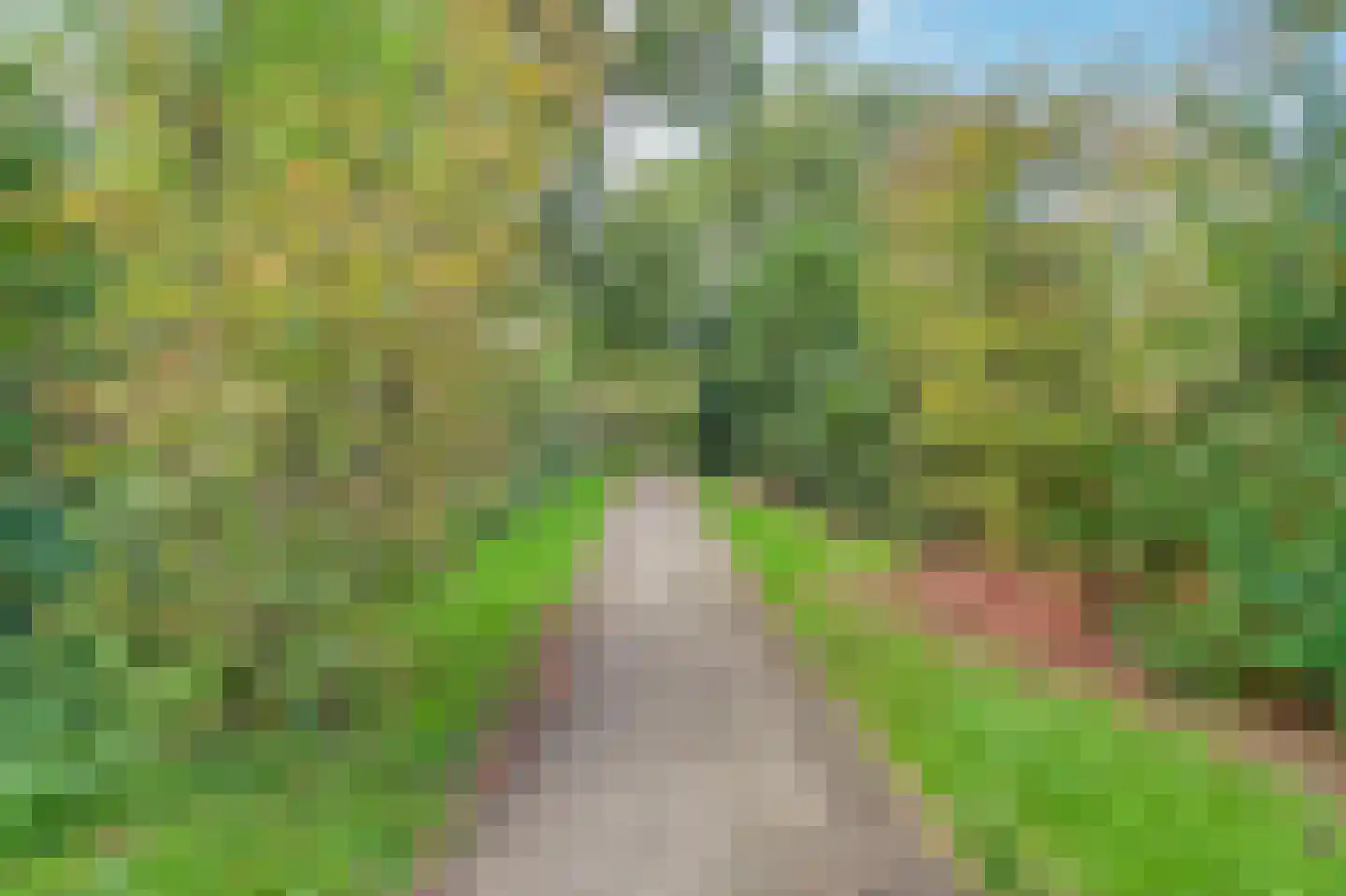 Leemkuylen 123 Geldrop thumbnail 41