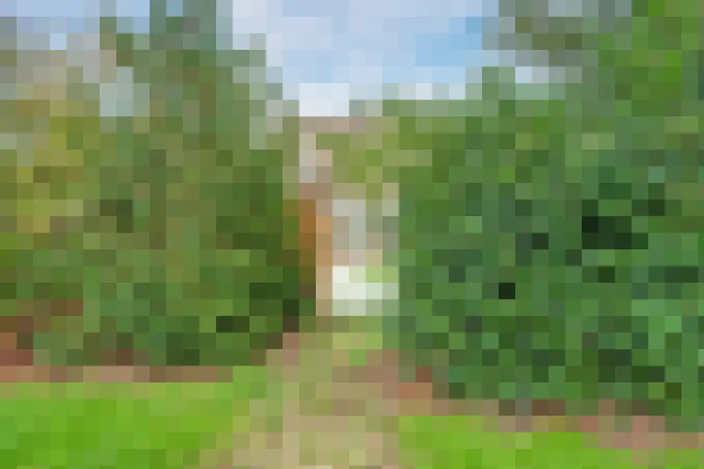 Leemkuylen 123 Geldrop thumbnail 42