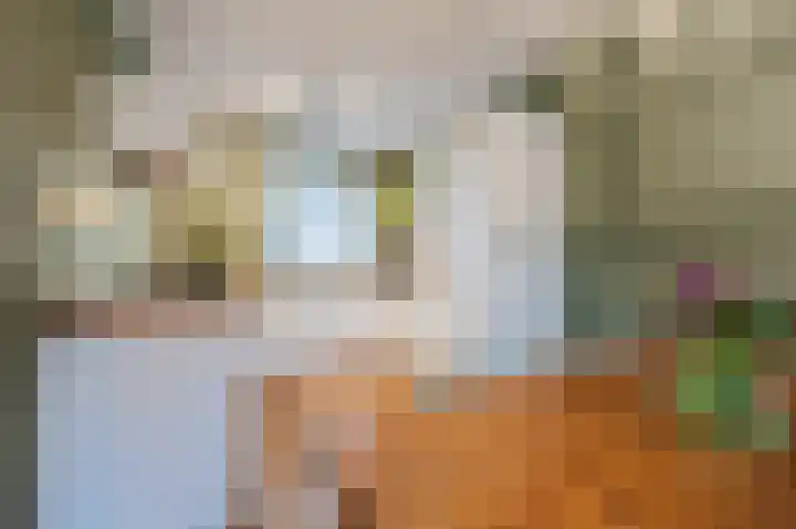 Leemkuylen 23 Geldrop thumbnail 14