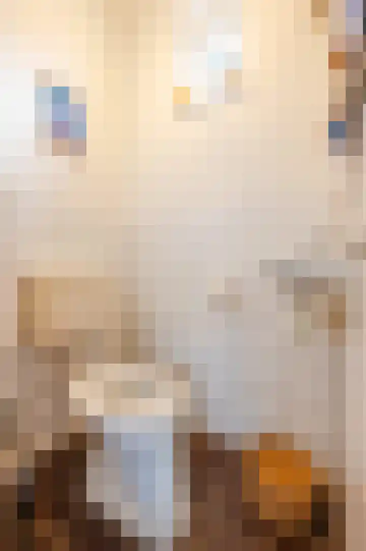 Leemkuylen 23 Geldrop thumbnail 19