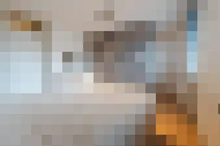 Leemkuylen 23 Geldrop thumbnail 24
