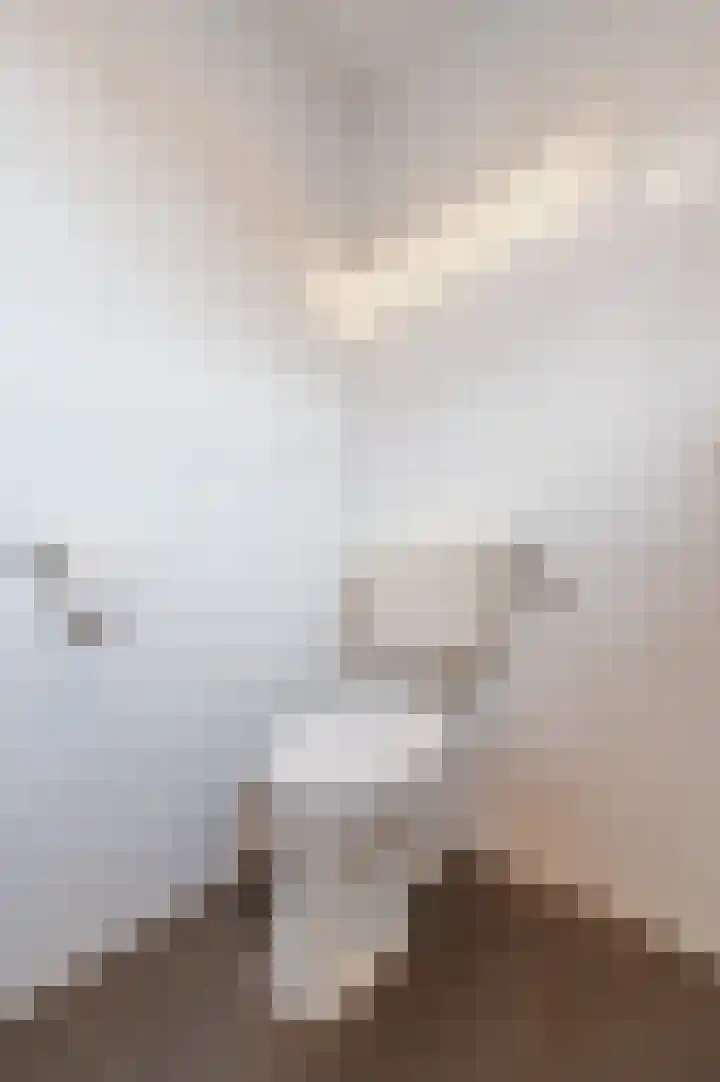 Leemkuylen 23 Geldrop thumbnail 32