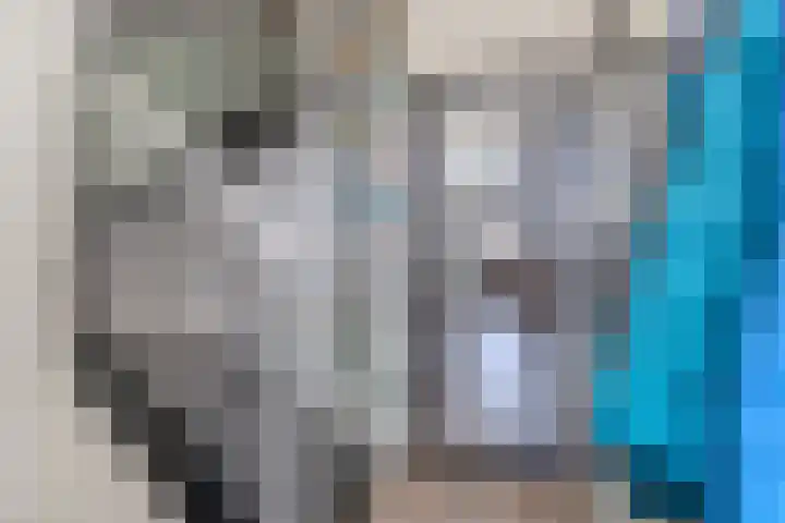 Leemkuylen 34 Geldrop thumbnail 17
