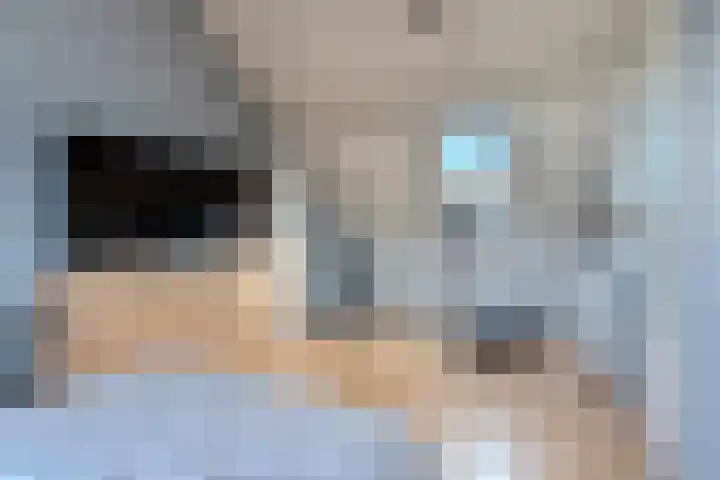 Leemkuylen 34 Geldrop thumbnail 31