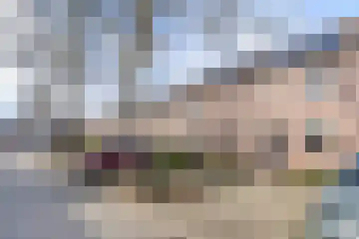 Leemkuylen 34 Geldrop thumbnail 43