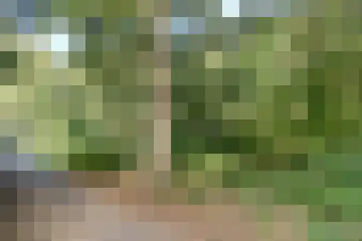 Leemkuylen 34 Geldrop thumbnail 46