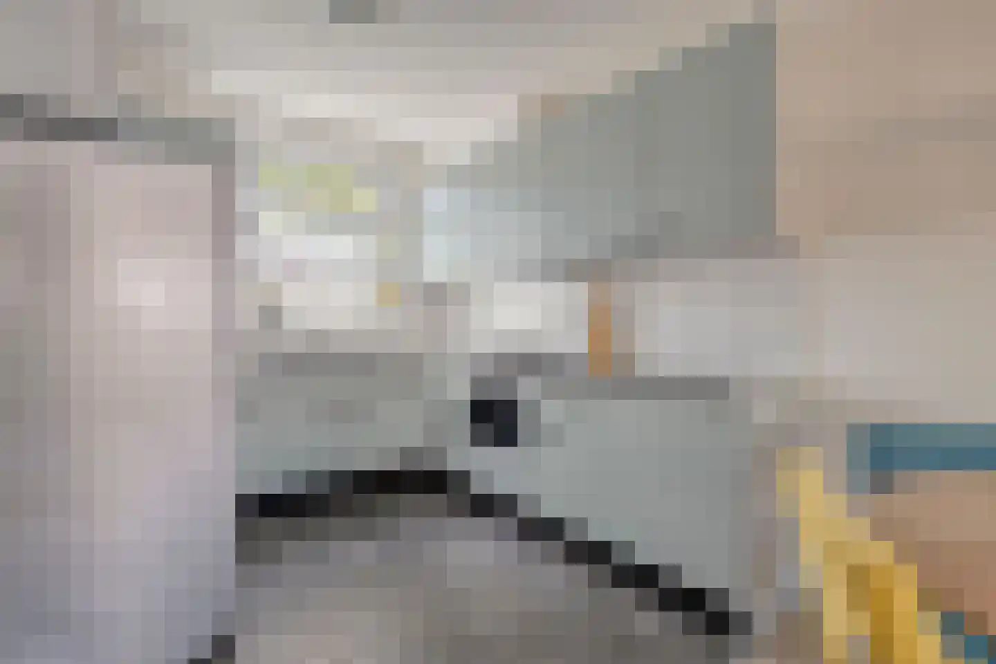 Leemkuylen 48 Geldrop thumbnail 10
