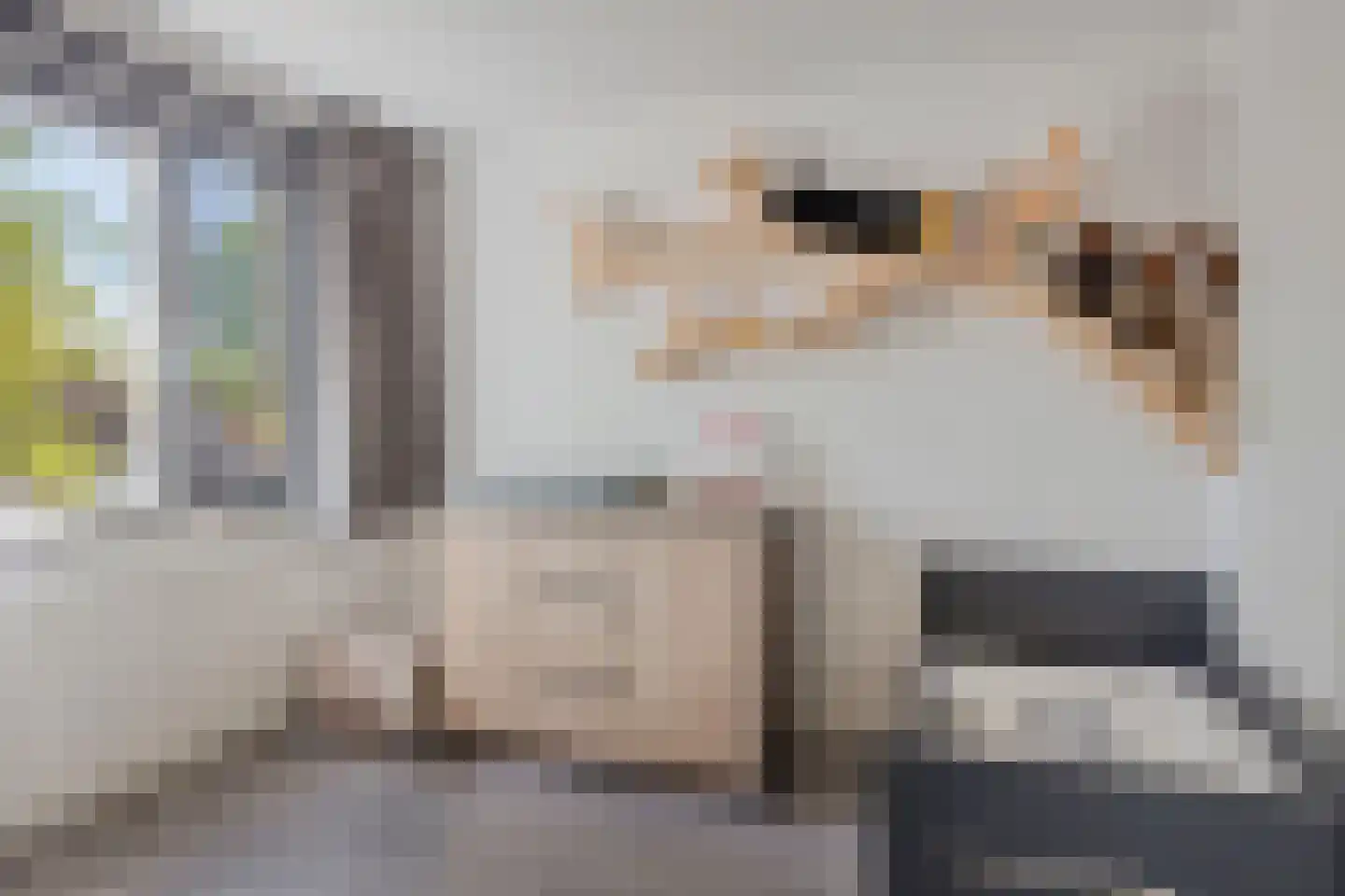 Leemkuylen 48 Geldrop thumbnail 15