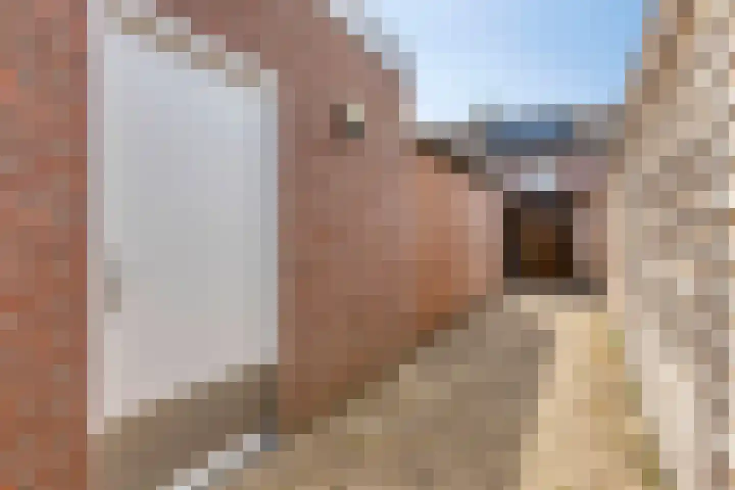 Leemkuylen 48 Geldrop thumbnail 31
