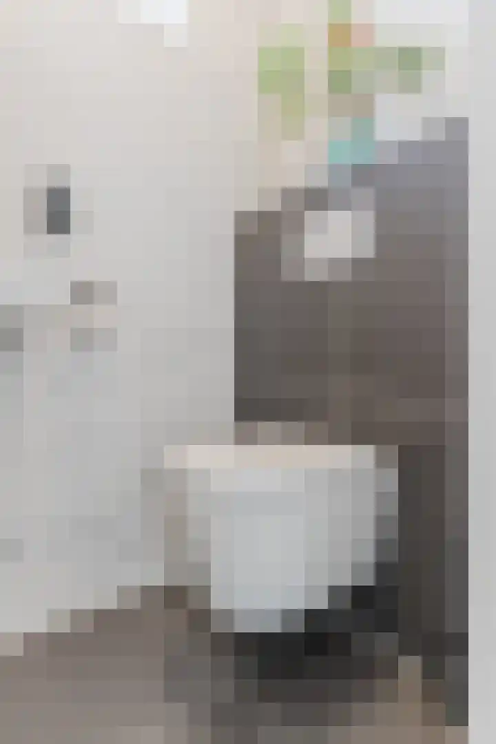 Leemkuylen 70 Geldrop thumbnail 14