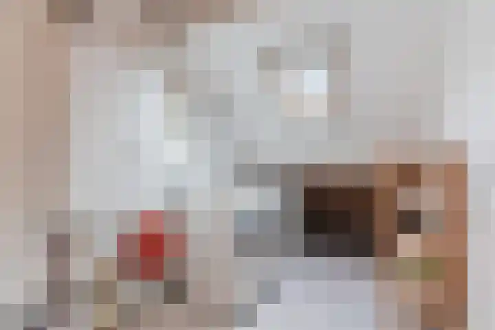 Leemkuylen 70 Geldrop thumbnail 28