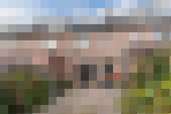 Leemkuylen 70 Geldrop thumbnail 32