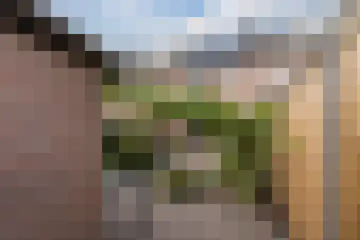 Leemkuylen 70 Geldrop thumbnail 36