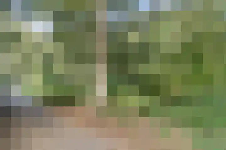 Leemkuylen 70 Geldrop thumbnail 43